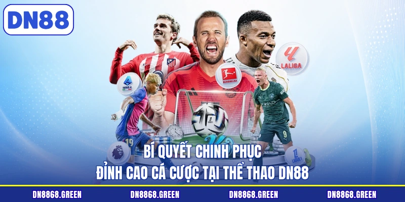 Bí quyết chinh phục đỉnh cao cá cược tại thể thao DN88
