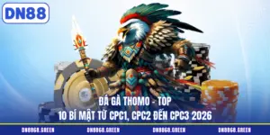 đá gà Thomo