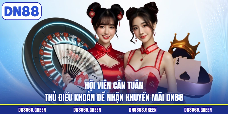 Hội viên cần tuân thủ điều khoản để nhận khuyến mãi DN88